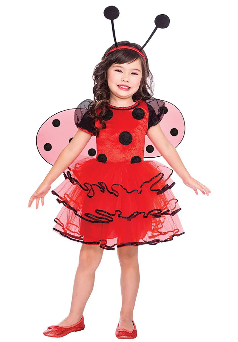 Ladybird Costume